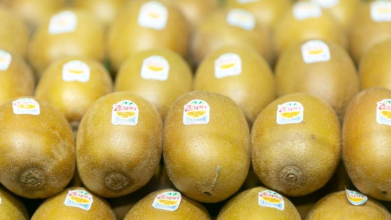 Zespri Wraps Up New Zealand Kiwifruit Season With Final Shipment