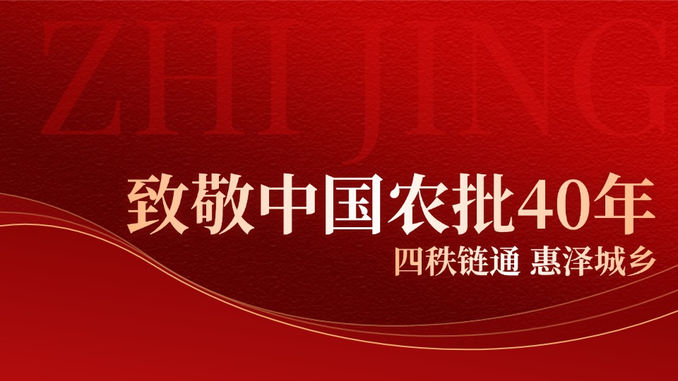 八方来贺（五）——致敬中国农批40年