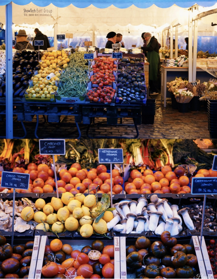 “走，出去看看！”系列——全国农贸联北欧四国农产品流通考察（第1期·丹麦）