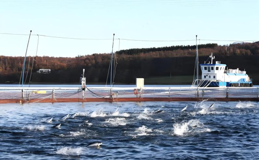 国际新闻┃“走，出去看看！”系列 - 全国农贸联北欧四国农产品流通考察 （第2期·挪威）