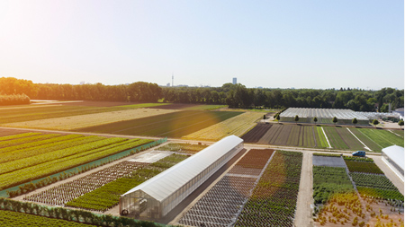 Operation planning of China organic products trading center project